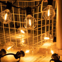 Luces De Cadena LED G40 De Plástico E12 110V US 220V EU Impermeables Y Resistentes Al Choque Para Decoración De Jardín Exterior - details 16