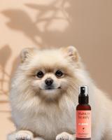 Spray Desenredante de Nudos para Perros | 100% eficaz para eliminar los nudos del pelo de tu perro y mantenerlo libre de enredos | Envase de 100 ml | Con 95% de ingredientes naturales como aceite de jojoba, colágeno y acondicionadores | Masco Beauty - details 1
