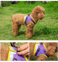 Correa Y Arnes Para Perro Y Gato De Malla Transpirable Para Verano Con Reflejos Seguro Para Chihuahua Yorkies Arnes De Cuello Básico Para Mascotas - details 9