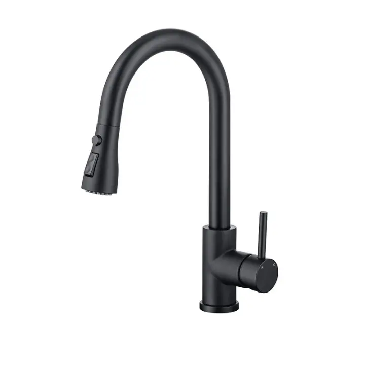 Grifo de Cocina Negro con Rociador Extraíble 360 Grados - Monomando - Acero Inoxidable - 1
