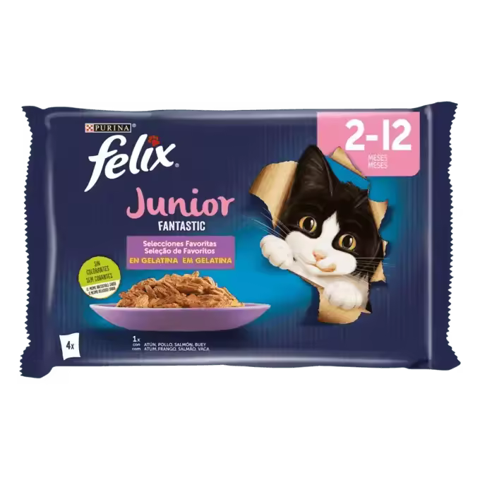 FELIX Fantastic Junior en Gelatina (48 x 85 gr) - 1