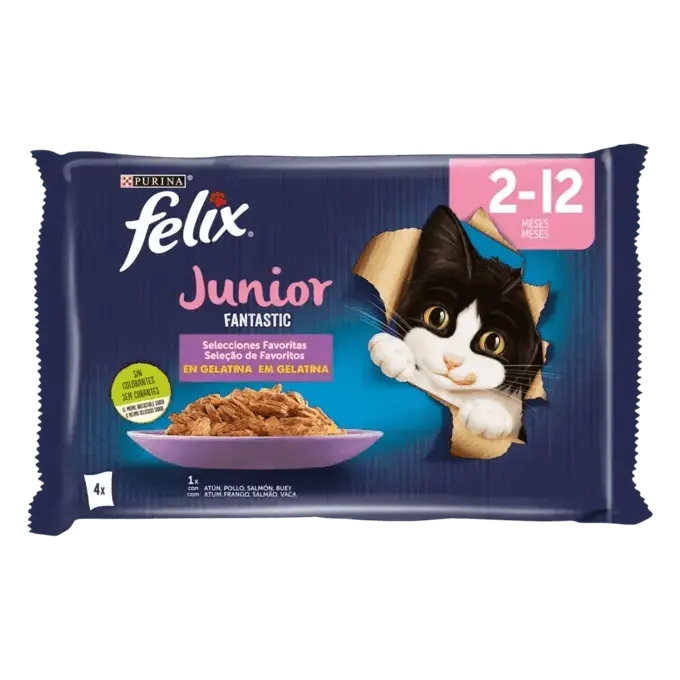 FELIX Fantastic Junior en Gelatina (48 x 85 gr) - 1