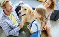 Dispositivo Antiladridos Para Perros Recargable Con 3 Niveles Ultrasonidos Y Eco-sonidos Silenciador De Ladridos Automático IPX4 Apto Para Todas Las Raza De Perros - details 0