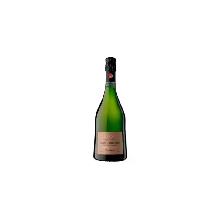 Jaume Codorniu Brut - 1