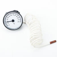 Gauge De Temperatura Con Sensor Capilar 40℃-120℃ Medidor De Agua Y Aceite Con Sensor De 1.44m Herramienta Doméstica - details 7
