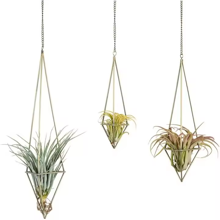 De 3 colgantes soporte de planta de aire para Tillandsia, soporte de plantas de aire, Himmeli para suspensión de Airplant Tillandsia, pantalla de maceta geométrica con, bronce - 1