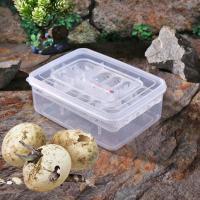 Caja De Incubador Para Huevos De Reptiles 16 Compartimentos Plástico Adecuado Para Lagartos Serpientes Herramienta De Terrario - details 3