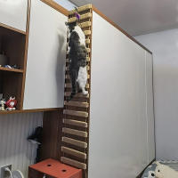 Ladder De Sisal Para Gatos Madera Y Cuerda De Aro Accesorio De Muebles Para Mascotas Subida Para Gatos Juguete De Aro Para Gatos - details 0