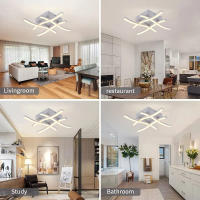 Lámpara De Techo Moderna IRALAN LED Con 3 Modos De Temperatura De Color Protección Para Los Ojos Instalación Fácil Para Habitaciones - details 2