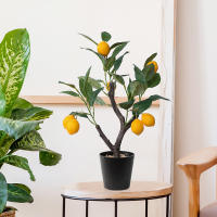1PCS Arbol De Limón Artificial Bonsái Decoración Para Mesa De Escritorio Restaurante Oficina Exhibición En Interiores - details 0