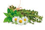 Alimento seco para perros OWNAT CLASSIC LIGHT - Alimento ligero y nutritivo para tu mascota Platz K9 S.L. - details 5