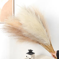 90/120cm Pampas Artificial En Broche Flor Artificial Para Decoración De Habitaciones Jardín Boda Exterior Simulación De Planta De Rama - details 10