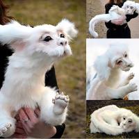 Muñeco De Peluche Falkor De La Historia Sin Fin Regalo Para Niños Y Adultos Material Textil Estilo Moderno - details 0