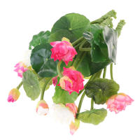 Loto Artificial Flor Silken Lirio De Agua Para Decoración De Micro Paisaje En Hogar Y Exterior - details 12