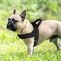 Harnés De Nylon Suave Para Perros Pequeños Y Medianos Sin Arrastre Harnés De Piel Para Pitbull Y Perros Chihuahua Pug Ajustable Y Padded - details 18