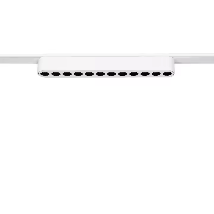 Ledkia Foco Carril Lineal LED Magnético 25mm SuperSlim 12W 48V Blanco Grid 222mm 4000K Blanco Neutro - 1