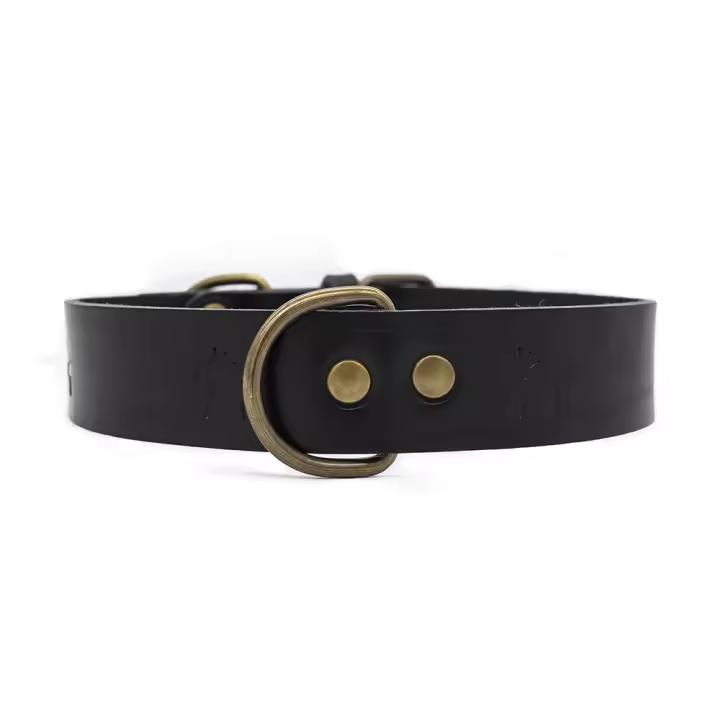 LADRAN GAUCHO - Collar para Perros de Cuero PREMIUM NEGRO Hecho a Mano - Resistente, Ajustable y Artesanal - 1
