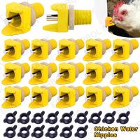 Dispensador De Agua Automático Para Pollos 10-50pcs Fácil Instalación Y No Propenso a Fugas Equipamiento De Cría De Pájaros Material Plástico - details 0
