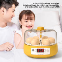 Incubador De Huevos 6/18 Con Bandeja Giratoria De 360 Grados Replicador Automático De Agua Y Control De Temperatura - details 11
