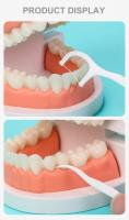 300 Bolsas De Hilo Dental Desechable De Polímero Fino Portátil Stick Familiar Higiene Dental Cuidado Oral Para Adultos - details 9