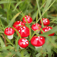 10Pcs Mini Set De Hongos Artificiales 2cm Para Jardín Fae Tiraditos De Moluscos Y Termitas Decoración De Terrario Y Artesanía - details 1