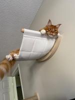 Hammock Para Gato De Pared Con Estantes Y Descansos Estables Para Dormir Jugar Subir Y Descansar Mobiliario Para Gatos PETRAVEL - details 4