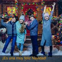 Luces De Cadena De Navidad 500/1000LED Impermeables Con Control Remoto Para Árbol Calle Bodas Y Fiestas Decoración De Pared Y Jardín - details 16