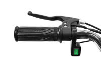 Nitro Motors 1161005-Rs ECO Cobra 800w 36v R6 3 etapas luz : COLOR - Rosa - details 10