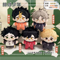 Muñeco De Peluche Haikyuu Akaashi Keiji Y Miya Atsumu Juguetes De Tetsurou Kuroo Decoración Para El Hogar Colgante Para Bolsa Regalo De Cumpleaños Para Niños - details 0