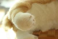 Juguete De Perro Suave De 32CM Muñeco De Peluche Simulación Corgi Juguetes Para Mascotas Animal De Peluche Para Niños - details 12