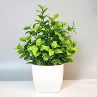 1PCS Decoración De Escritorio Con Plantas Artificiales Paisaje Bonsái Para Oficina Hogar Estante De Mesa Accesorios De Fiesta De Boda PVC - details 4