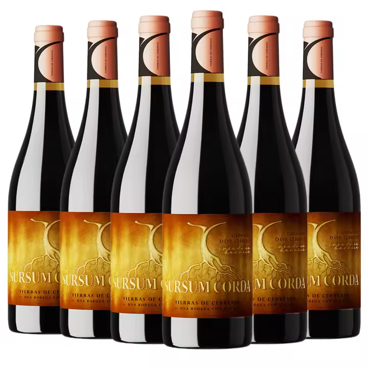 ARTE SABOR Caja de 6 botellas de vino tinto Sursum Corda Crianza. 100% Garnacha, crianza de 12 meses, Cebreros. Vendimia del 2021. 75cl con 14,5% vol. 7,5x7,5x30 Cm. - 1