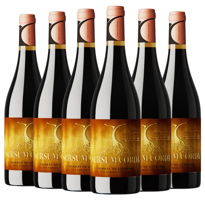 ARTE SABOR Caja de 6 botellas de vino tinto Sursum Corda Crianza. 100% Garnacha, crianza de 12 meses, Cebreros. Vendimia del 2021. 75cl con 14,5% vol. 7,5x7,5x30 Cm. - 1
