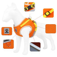 Correa Y Arnes Para Perro Y Gato De Malla Transpirable Para Verano Con Reflejos Seguro Para Chihuahua Yorkies Arnes De Cuello Básico Para Mascotas - details 2