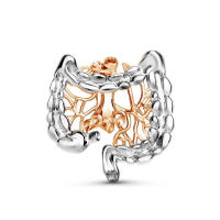 Broche De Anatomía Intestinal Hanreshe Para Médicos Y Enfermeras Regalo De Colección De Joyería Metal Unisex - details 1