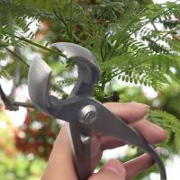 Jardín de jardín podadoras sectarias podadoras de mano tijeras de Rama, flores, selecciones de frutas recortar plantas, herramienta de rama de Bonsai tijeras de Bonsai borde redondo cóncavo podadoras de árboles de bonsai - details 2