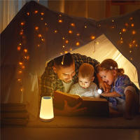 Lámpara De Mesa Cambio De Color 13 RGB Control Remoto Toque Dimmable Portátil Lámpara De Noche USB Recargable Luz De Mesa Para Cama - details 9