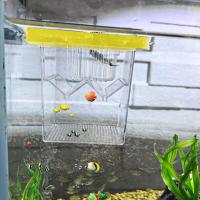 Caja De Cría De Peces Flotante Incubador De Acuario Con Ventosas Para Guppys Y Bettas Caja De Aislamiento Para Amantes De Los Peces Material Plástico - details 2