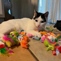 Juguetes Para Gatos Interactivos Rattler Ratón Y Ratón De Peluche Falso Con Árbol De Navidad Para Juego De Persecución Y Entretención Ideal Para Gatos Internos - details 10