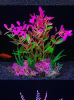 Adorno De Acuario Plantas Artificiales Simulación De Hierba De Agua Para Tanque De Peces Decoración De Plástico 5.5 Pulgadas - details 3