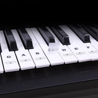 Piano Eléctrico Teclas 54/61/88 Clavijas Etiquetas De Sonido Nombre Teclado Electrónico Adhesivos Para Teclas - details 0