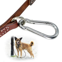 Correa De Cuero Para Perro Pitbull Duradera Con Hebilla De Escalada Adecuada Para Perros Medianos Y Grandes Para Actividades Al Aire Libre - details 7