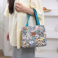 Bolsa De Almuerzo Grande Y Aislada Con Estampado De Dibujos Animados Bolso Termo Para Escuela Trabajo Viajes Y Picnics - details 12