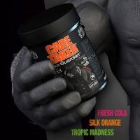 Zoomad Labs CARETAKER 30 serv BCCA instantáneos con un ratio 10.1.1 480g diferentes sabores aminoacidos ramificados - details 1