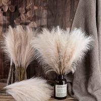 5/10Pcs Pampas Artificial Flor Para Decoración De Hogar Boda Y Jardín Arreglo Floral Falso Planta En Vaso Guirnalda Exterior - details 1