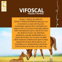 VIFOSCAL YEGUAS Y POTROS vitaminas y minerales de Laboratorios Pino - details 1