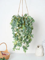 Eucalipto Rattan Plantas Artificiales Vine Hoja Verde Seda Ivy Colgante Para Decoración De Hogar Boda Fiesta En La Pared - details 1