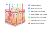 Máscara Facial LED De 7 Colores Terapia PDT Para Cuidado De La Piel Belleza Y Salud Eliminador De Acné Antiarrugas Electrónica De Plástico - details 3