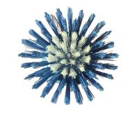CEPILLO DE LIMPIEZA MULTIUSOS BIKAIN MODELO FORLI DE 8 CMS. CON DEPOSITO PARA DETERGENTE LIQUIDO - details 1