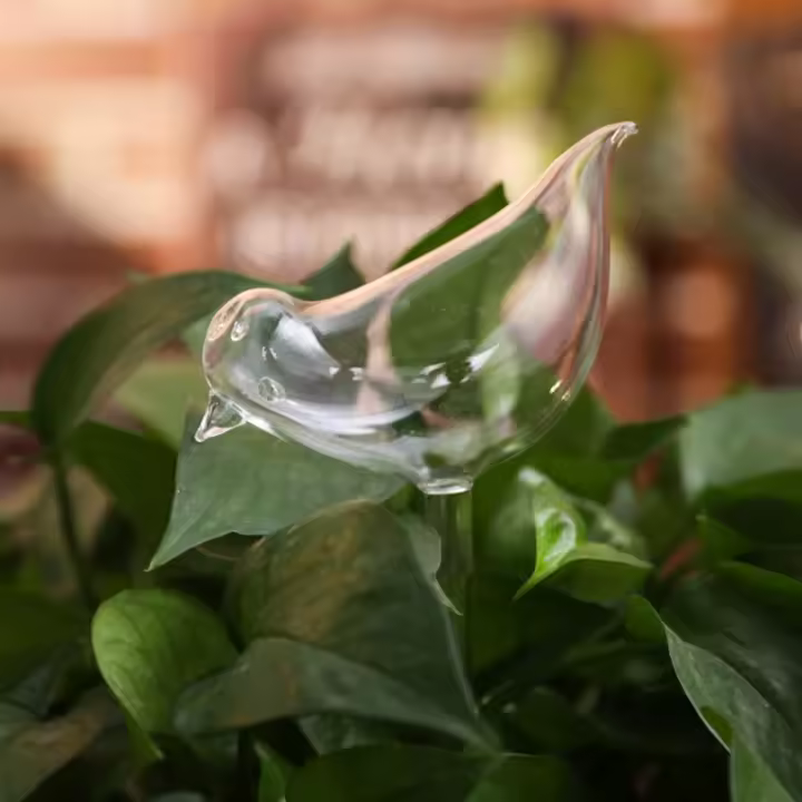 Dispositivo De Riego Automático En Forma De Animales Bola De Vidrio Transparente Ayudante De Riego Para Plantas Florpot Sistemas De Riego Por Derrame - 1
